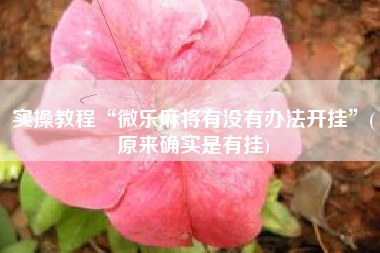 实操教程“微乐麻将有没有办法开挂	”(原来确实是有挂)