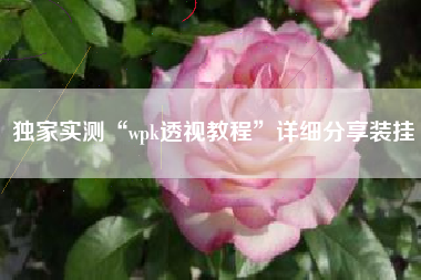 独家实测“wpk透视教程”详细分享装挂