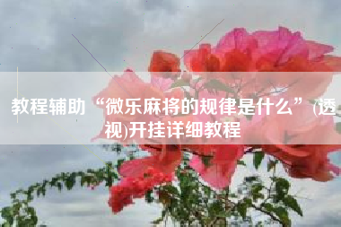 教程辅助“微乐麻将的规律是什么	”(透视)开挂详细教程