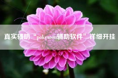 真实辅助“pokemon辅助软件”详细开挂