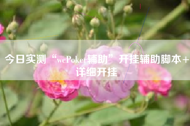 今日实测“wePoker辅助”开挂辅助脚本+详细开挂