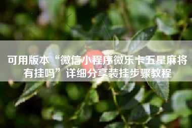 可用版本“微信小程序微乐卡五星麻将有挂吗”详细分享装挂步骤教程