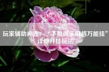 玩家辅助神器：“手机微乐麻将万能挂”详细开挂玩法