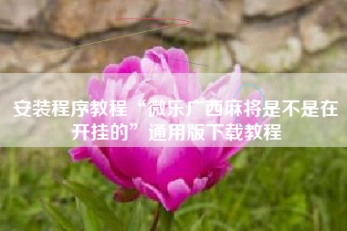 安装程序教程“微乐广西麻将是不是在开挂的	”通用版下载教程