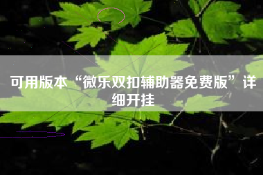 可用版本“微乐双扣辅助器免费版”详细开挂
