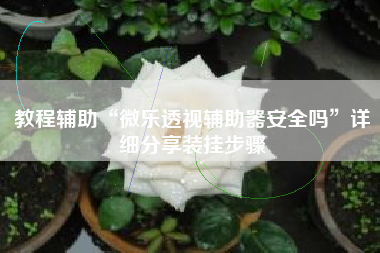 教程辅助“微乐透视辅助器安全吗”详细分享装挂步骤