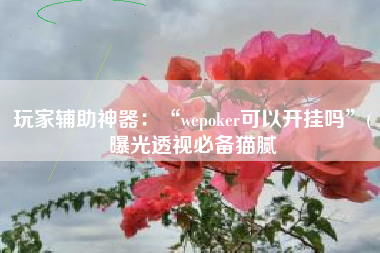 玩家辅助神器：“wepoker可以开挂吗”(曝光透视必备猫腻