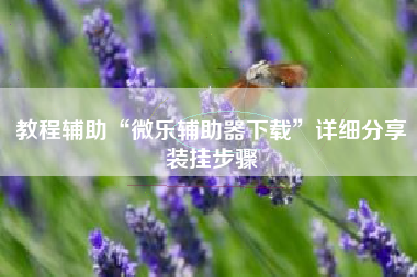 教程辅助“微乐辅助器下载	”详细分享装挂步骤