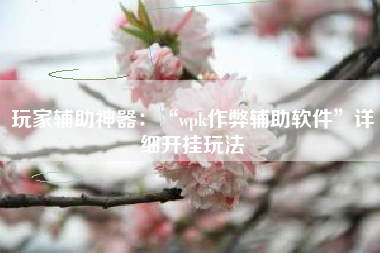 玩家辅助神器：“wpk作弊辅助软件”详细开挂玩法