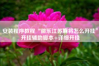 安装程序教程“微乐江苏麻将怎么开挂”开挂辅助脚本+详细开挂