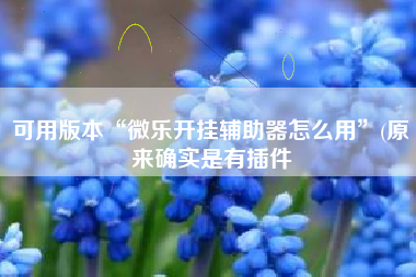 可用版本“微乐开挂辅助器怎么用”(原来确实是有插件