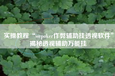 实操教程“wepoker作弊辅助挂透视软件”揭秘透视辅助万能挂