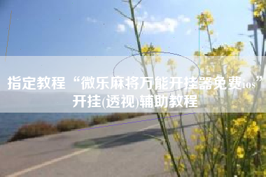 指定教程“微乐麻将万能开挂器免费ios	”开挂(透视)辅助教程