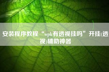 安装程序教程“wpk有透视挂吗”开挂(透视)辅助神器
