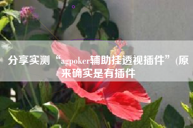 分享实测“agpoker辅助挂透视插件”(原来确实是有插件