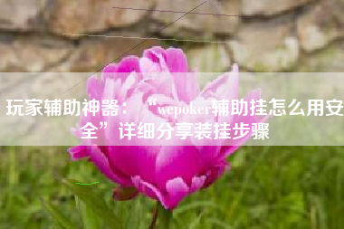 玩家辅助神器：“wepoker辅助挂怎么用安全”详细分享装挂步骤