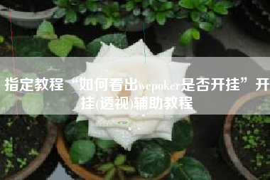 指定教程“如何看出wepoker是否开挂”开挂(透视)辅助教程