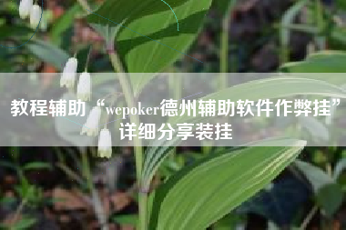 教程辅助“wepoker德州辅助软件作弊挂”详细分享装挂