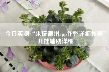 今日实测“来玩德州app作弊详细教程	”开挂辅助详细