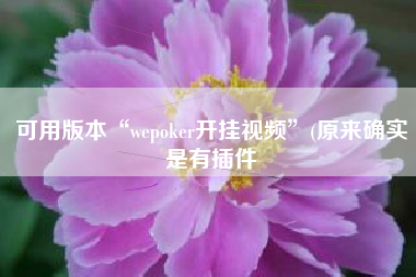 可用版本“wepoker开挂视频	”(原来确实是有插件
