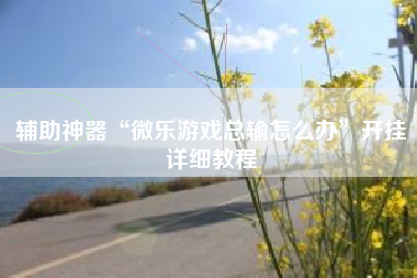 辅助神器“微乐游戏总输怎么办”开挂详细教程