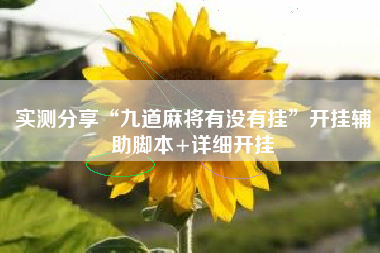 实测分享“九道麻将有没有挂”开挂辅助脚本+详细开挂