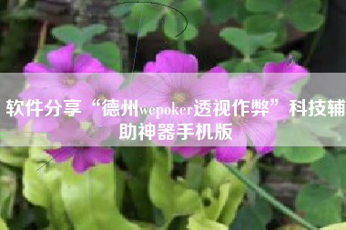 软件分享“德州wepoker透视作弊”科技辅助神器手机版