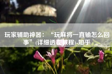 玩家辅助神器：“玩麻将一直输怎么回事	”(详细透视教程)-知乎