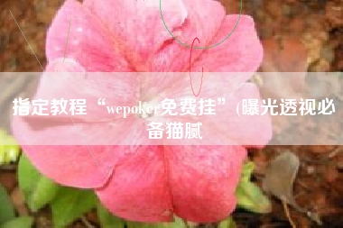 指定教程“wepoker免费挂”(曝光透视必备猫腻