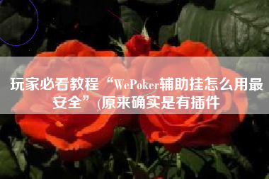玩家必看教程“WePoker辅助挂怎么用最安全”(原来确实是有插件
