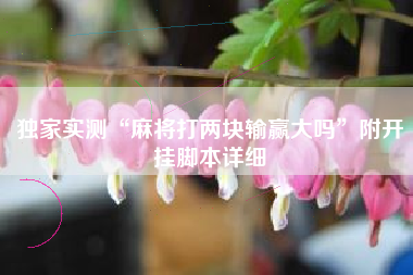 独家实测“麻将打两块输赢大吗	”附开挂脚本详细