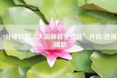 3分钟教程“大胡麻将免费挂”开挂(透视)辅助