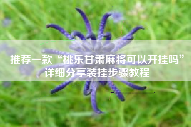 推荐一款“桃乐甘肃麻将可以开挂吗”详细分享装挂步骤教程