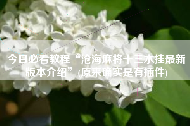 今日必看教程“沧海麻将十三水挂最新版本介绍	”(原来确实是有插件)