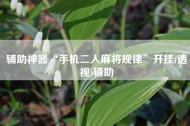 辅助神器“手机二人麻将规律	”开挂(透视)辅助