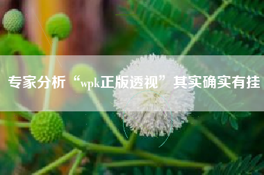 专家分析“wpk正版透视”其实确实有挂