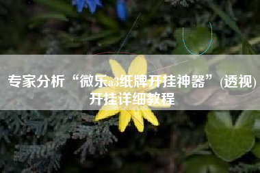 专家分析“微乐a3纸牌开挂神器	”(透视)开挂详细教程