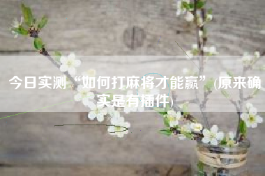 今日实测“如何打麻将才能赢”(原来确实是有插件)