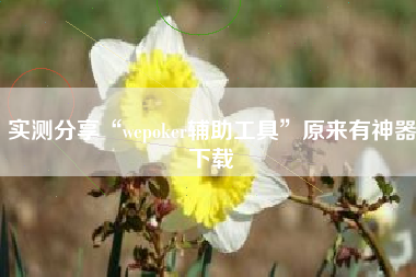 实测分享“wepoker辅助工具	”原来有神器下载
