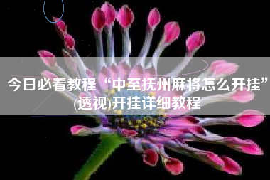 今日必看教程“中至抚州麻将怎么开挂	”(透视)开挂详细教程