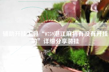 辅助开挂工具“0759湛江麻将有没有开挂的	”详细分享装挂