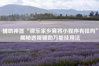 辅助神器“微乐家乡麻将小程序有挂吗”揭秘透视辅助万能挂用法