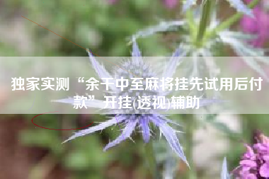 独家实测“余干中至麻将挂先试用后付款”开挂(透视)辅助