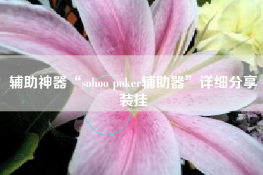 辅助神器“sohoo poker辅助器”详细分享装挂