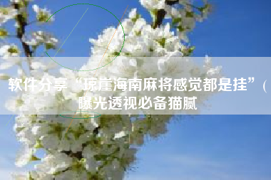 软件分享“琼崖海南麻将感觉都是挂	”(曝光透视必备猫腻