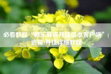 必看教程“微乐麻将开挂版本客户端	”(透视)开挂详细教程