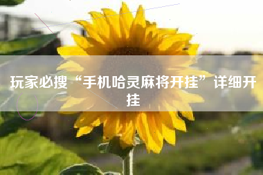 玩家必搜“手机哈灵麻将开挂”详细开挂