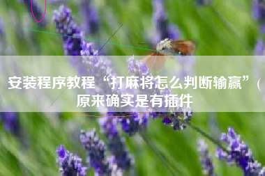 安装程序教程“打麻将怎么判断输赢”(原来确实是有插件