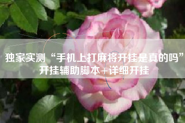 独家实测“手机上打麻将开挂是真的吗	”开挂辅助脚本+详细开挂