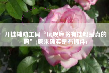 开挂辅助工具“玩呗麻将有挂吗是真的吗”(原来确实是有插件)